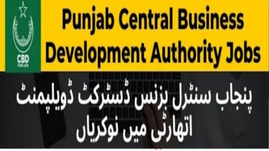 Punjab Central Business District Development Authority Jobs 2024