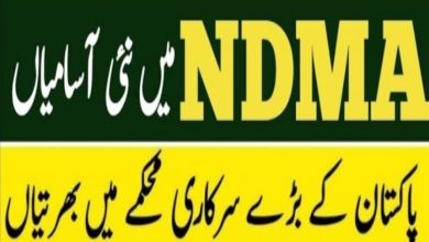 National Disaster Management Authority NDMA Jobs 2024