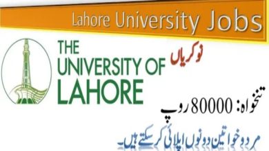 GC University Lahore Jobs 2024 | www.gcu.edu.pk Jobs Form