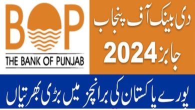 Punjab Bank BOP Jobs 2024 | BOP Careers