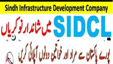 Sindh Infrastructure Development Company Limited SIDCL Jobs 2024