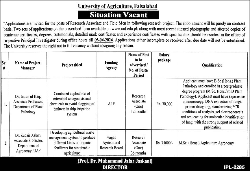 University of Agriculture Faisalabad Jobs 2024 | www.uaf.edu.pk