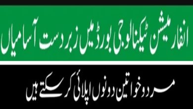 Information Technology Board AJK Jobs 2024 | www.ajk.gov.pk