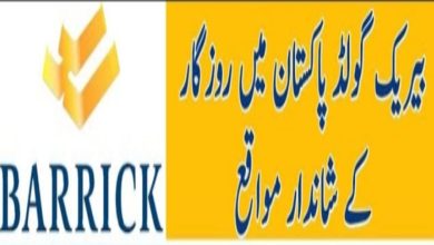 Barrick Gold Corporation Jobs 2024