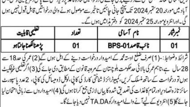 Office Of Union Council Usta Muhammad Job 2024