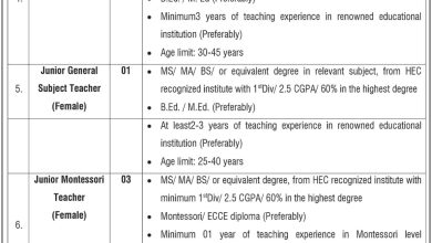 Latest Cantt Public High School & Girls College Sialkot Jobs