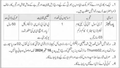 Government Organization Rawalpindi Job 2024