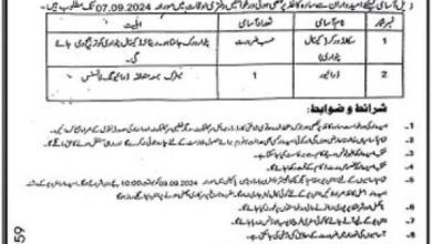 Positions Vacant At Irrigation Department Pakpattan