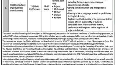 Job Vacancies At Planning & Development Department