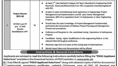 Pakhtunkhwa Energy Development Organization PEDO Jobs 2024