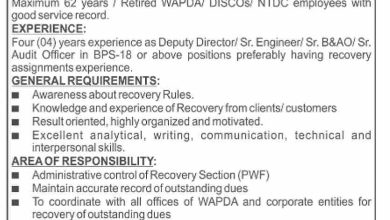 Job Opportunity At Pakistan Wapda Foundation