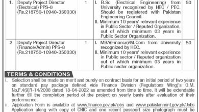 Finance Division Lahore Jobs 2024