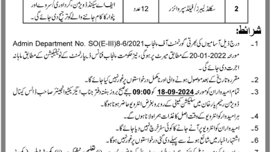 Canal Division Rahim Yar Khan Jobs 2024