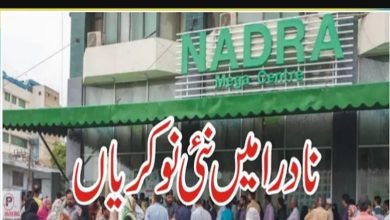 Nadra Consultant Services 2024